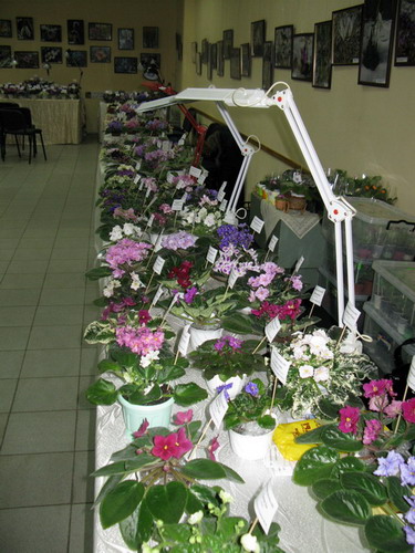IMG_326512.jpg