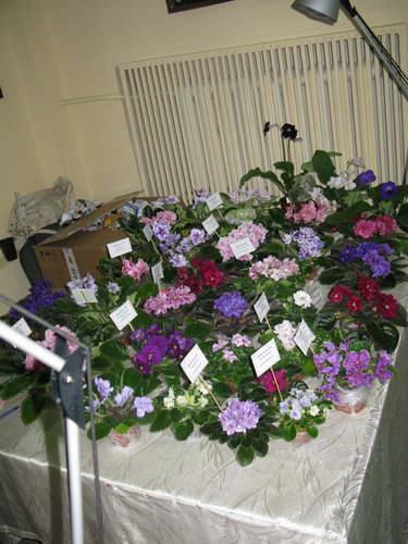 IMG_327012.jpg
