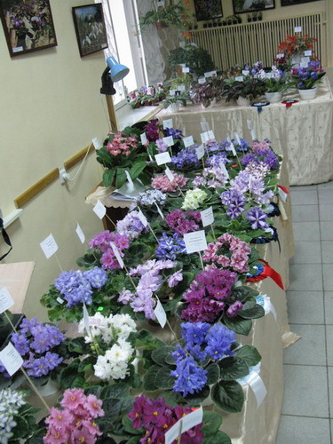 IMG_326812.jpg