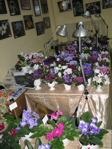IMG_326912.jpg