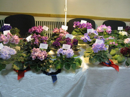 IMG_325612.jpg