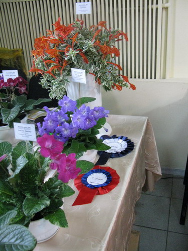 IMG_325712.jpg