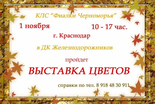 Краснодар-выставка.jpg