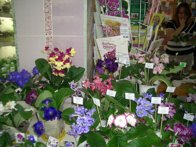CIMG0079.JPG