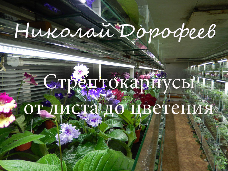 заголовок.jpg