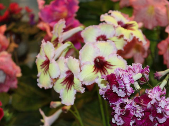 060_2014-10-29.jpg