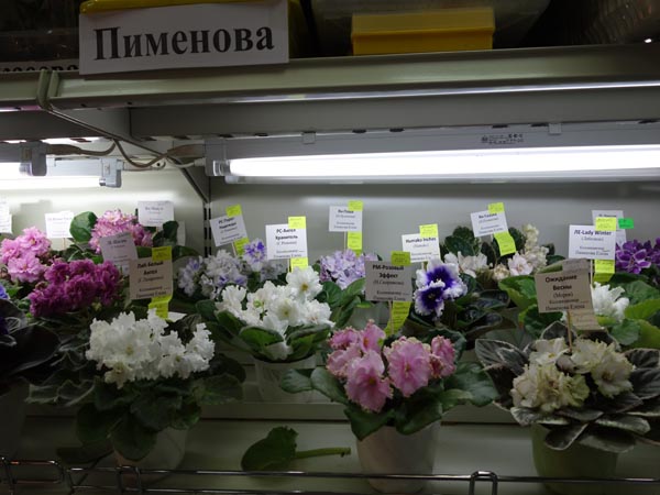 Из Коллекции Пименовой Елены.jpg