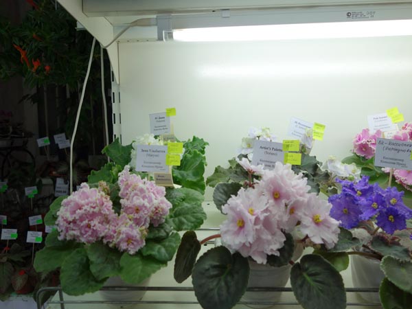 DSC02863.jpg