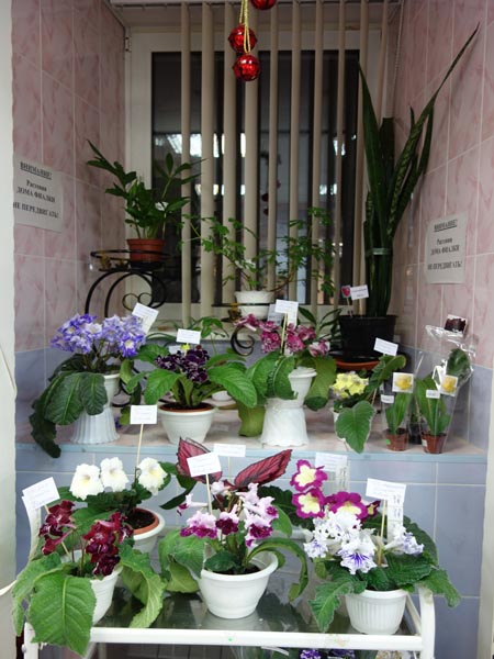 DSC02870.jpg