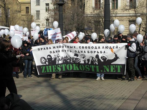 митинг 4.jpg