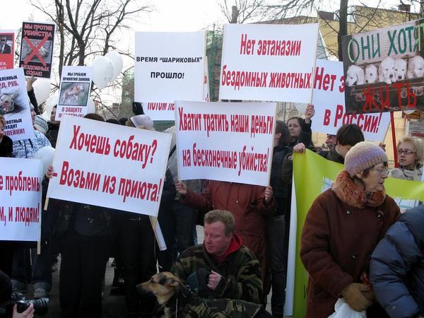 митинг3.jpg