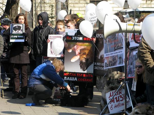 митинг 5.jpg