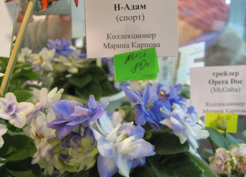 IMG_9948.JPG