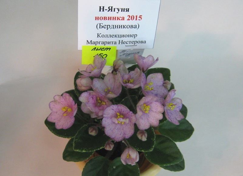 Нестерова Н-Ягуня..JPG