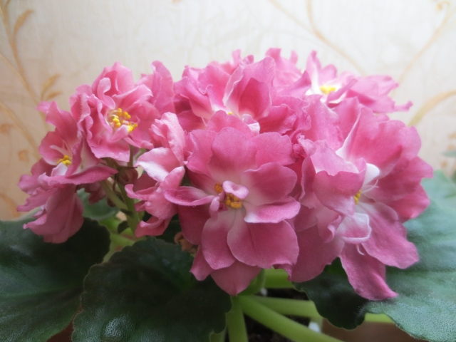 2014-11-11 18-35-23.jpg