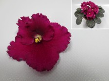 Humako Madison.jpg