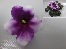 Humako Purple сloud.jpg