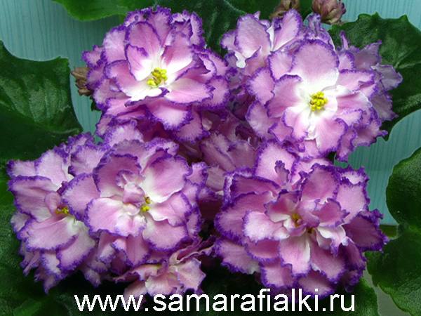 РС-Гранд Отель  новый_rs  5.jpg