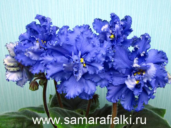 ЛЕ-Дарт Вейдер нов_rs  5.jpg