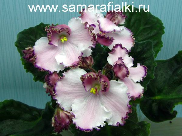 ЛЕ-Мон сен мишель нов_rs  5.jpg
