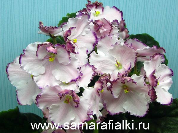 ЛЕ-Мон сен мишель новый_rs  5.jpg