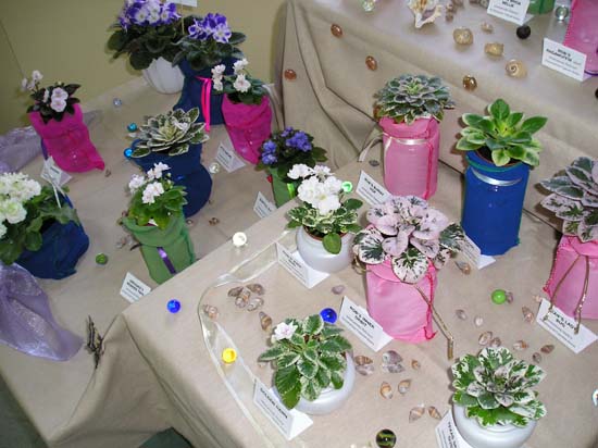 Экспозиция Ирины Годяцкой - 2005г.