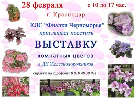 Краснодар-февраль.jpg