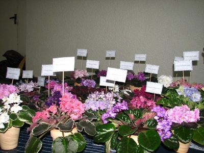 IMG_1760.JPG