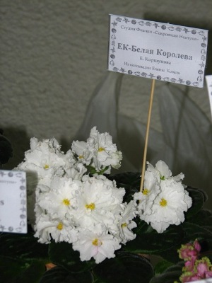 IMG_1768.JPG