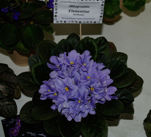 01_4047640.jpg