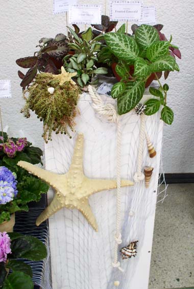 P1010017.jpg