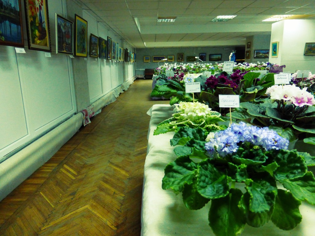 image (10).jpg