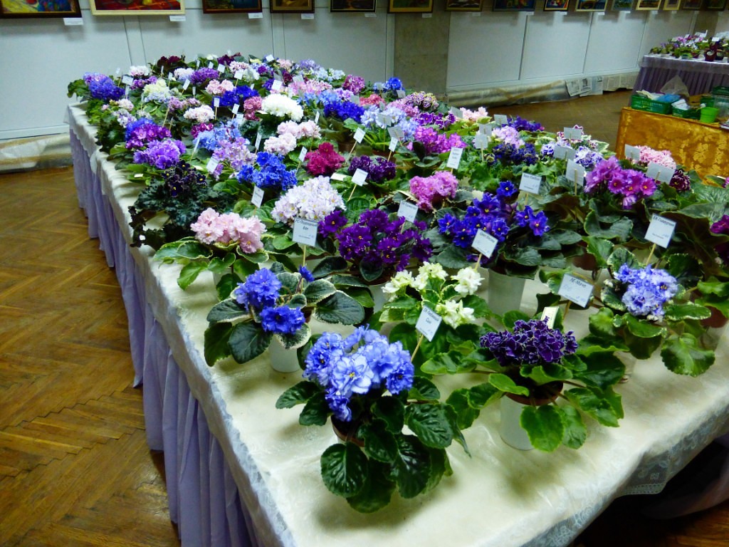 image (11).jpg