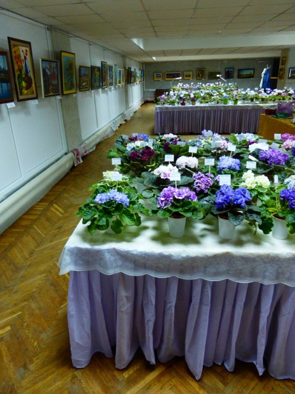image (12).jpg