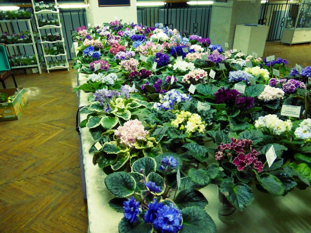 image (13).jpg
