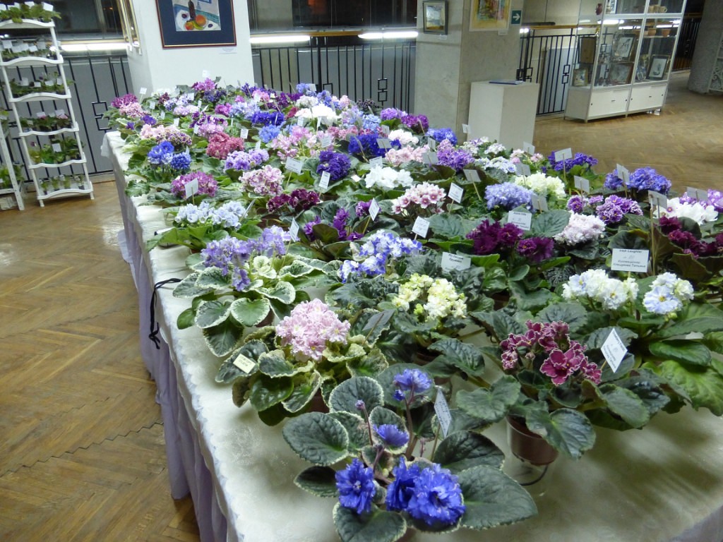 image (14).jpg