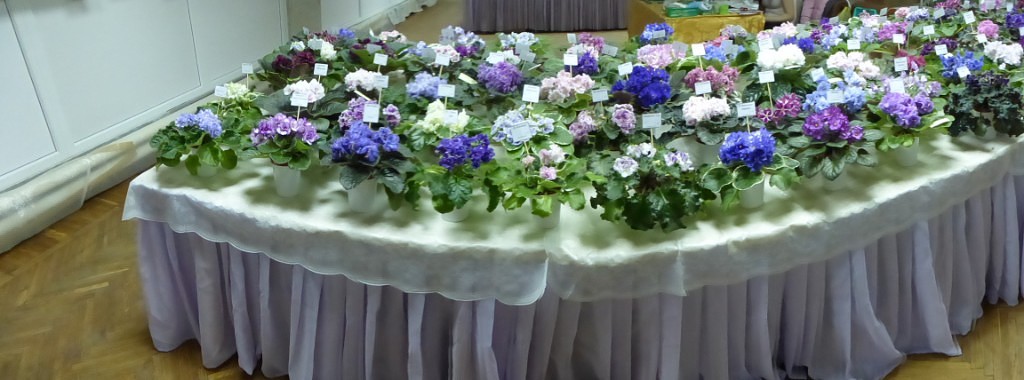 image (16).jpg