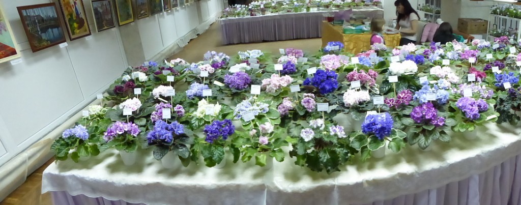 image (17).jpg