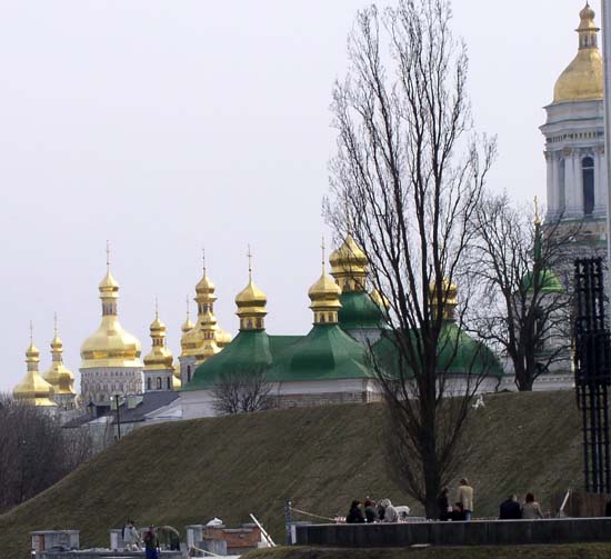 P1010133.jpg