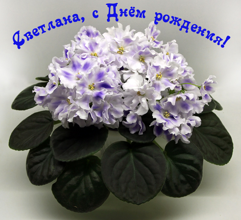 IMG_3698 - копия.jpg