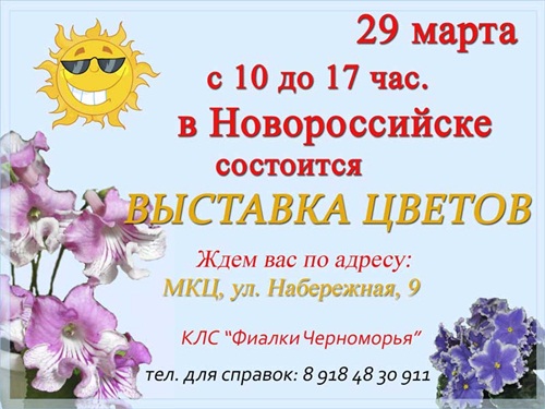 Новоросс2.jpg