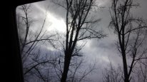 20150320_122402.jpg