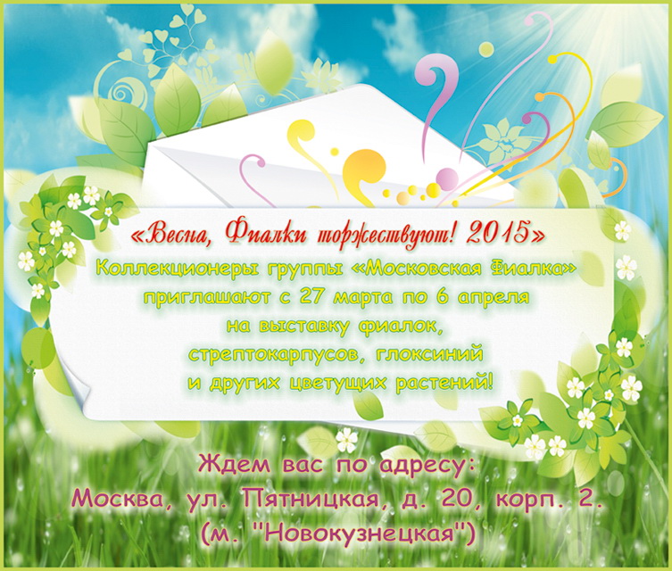 весна фиалки торжествуют 2015 753 кпи(1).jpg
