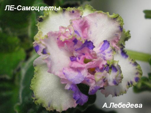 ЛЕ-Самоцветы 30.03.09 (15) 20-20 текст.JPG
