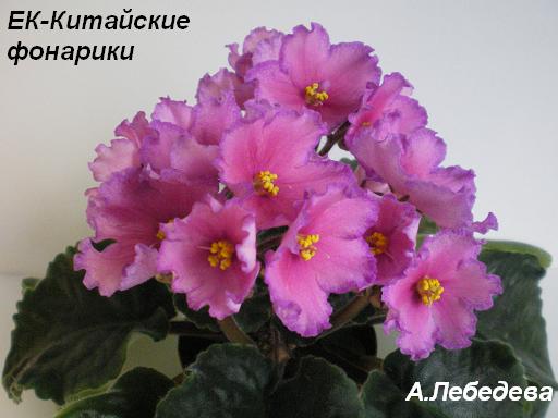 ЕК-Китайские фонарики 14.04.09 (38) 20-20 2 текст.JPG