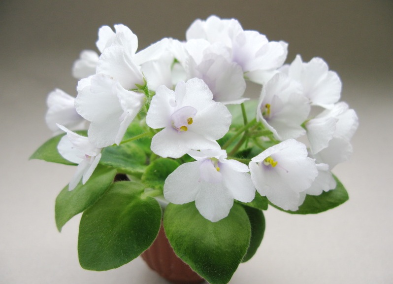 Фото - Игорь Милехин