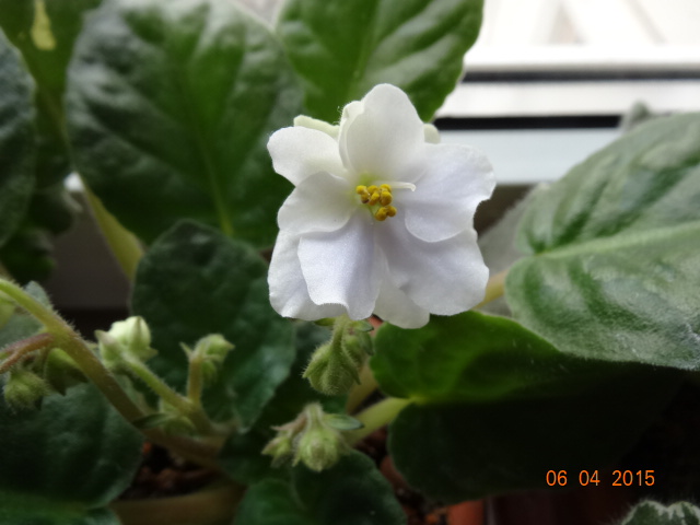 DSC08255.JPG