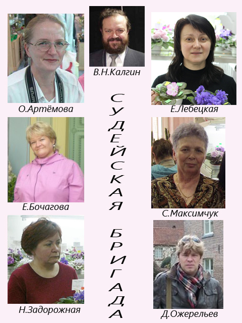 Судейская бригада.jpg