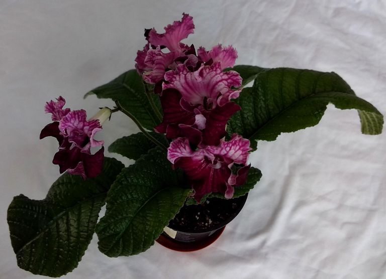IMG_20150416_103122.jpg