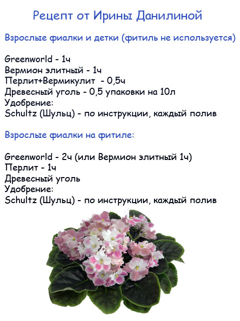 грунт.jpg